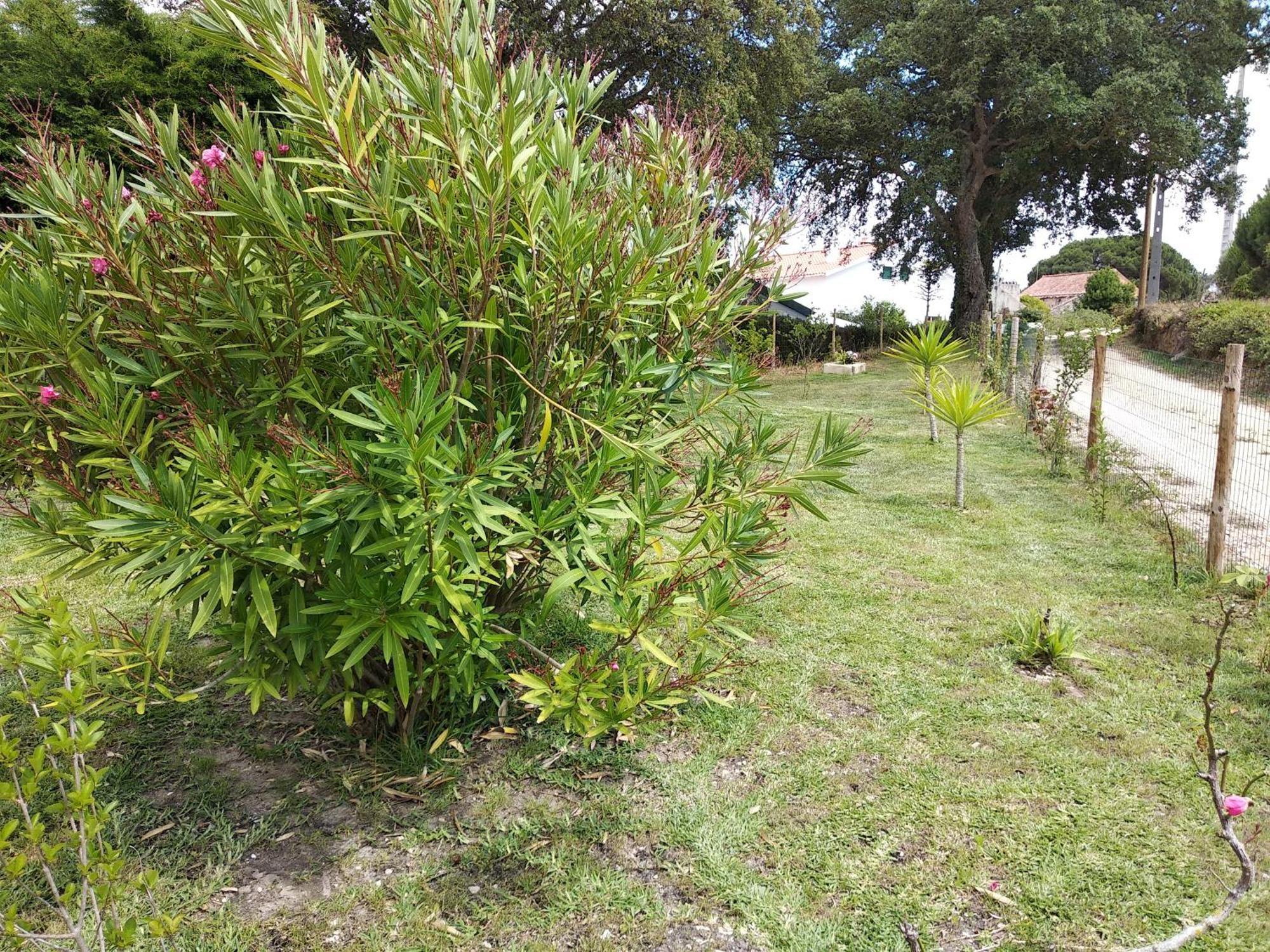 Quinta Dos Sobreiros Villa Nadadouro Exterior foto