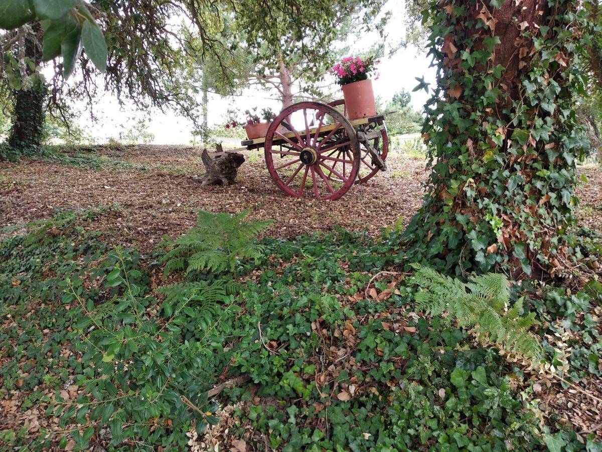 Quinta Dos Sobreiros Villa Nadadouro Exterior foto